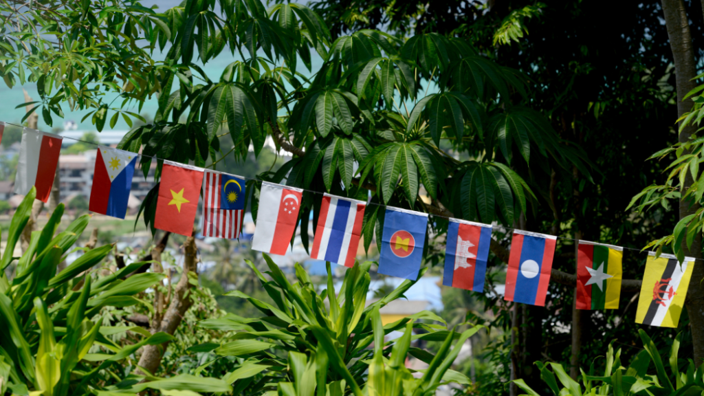 Who owns the carbon claim? ASEAN’s dilemma